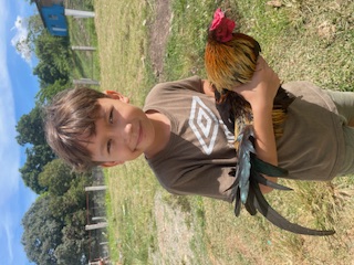 Luke with rooster